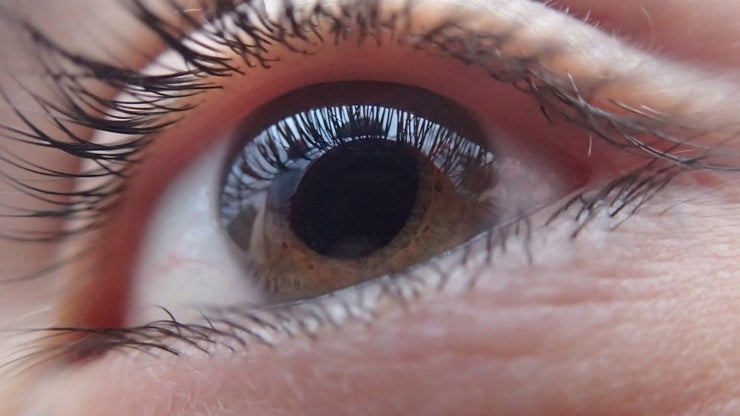 Closeup of human eye